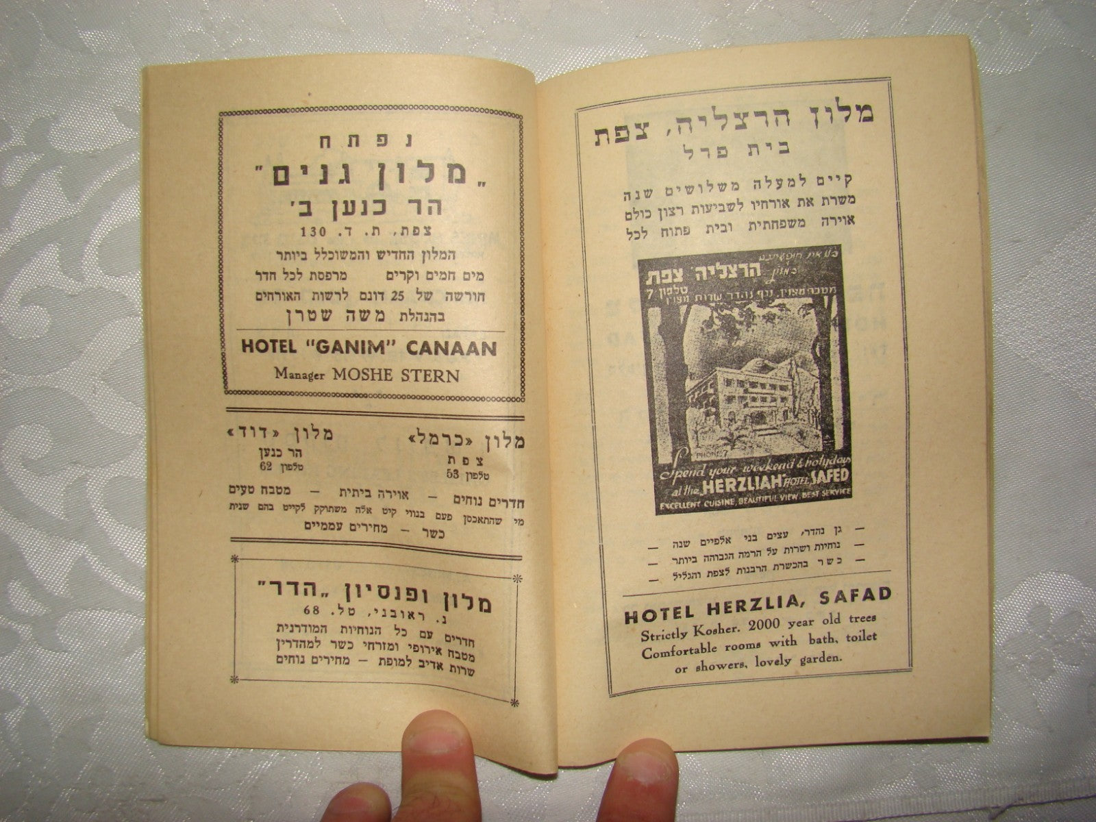 Book Jewish Judaica hebrew vintage israel map guide Safed Tzfat 1955 ad צפת