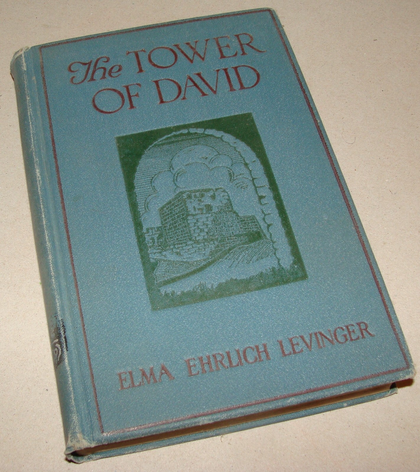 $ Book Jewish American Judaica 1924 THE TOWER F DAVID Elma Ehrlich Levinger