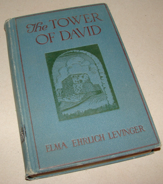$ Book Jewish American Judaica 1924 THE TOWER F DAVID Elma Ehrlich Levinger