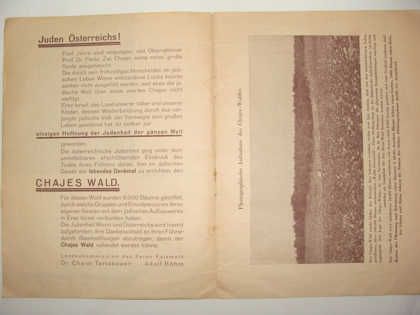 National Fund Palestine Judaica Jewish 1933 Israel Zionist German Austria Wien