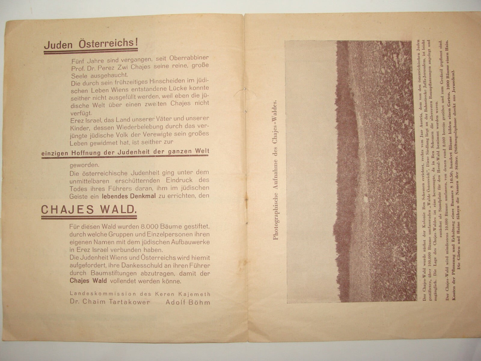 National Fund Palestine Judaica Jewish 1933 Israel Zionist German Austria Wien