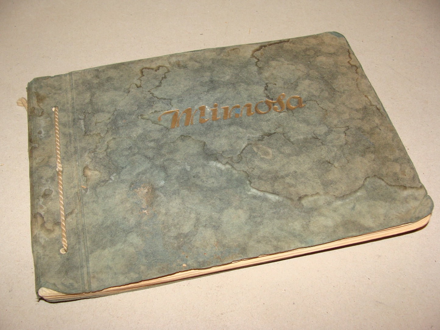 Germany MIMOSA Photo Album Different Paper Photography   Europe