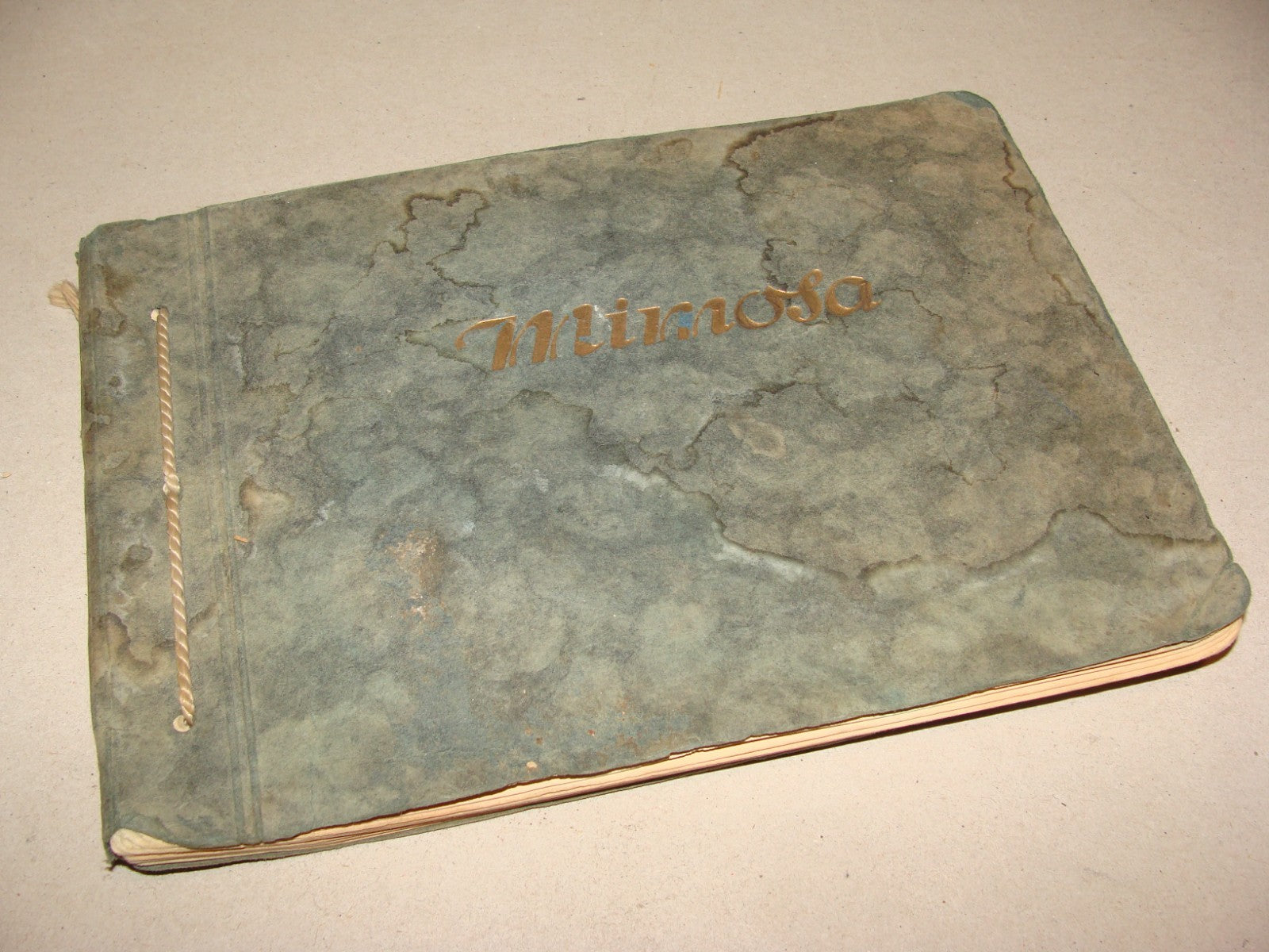 Germany MIMOSA Photo Album Different Paper Photography   Europe