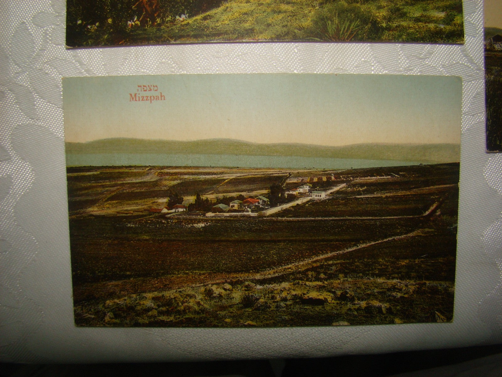 Photo Palestine Card hebrew jewish Israel Moshe Ordmann postcard Kibbutz Moshav