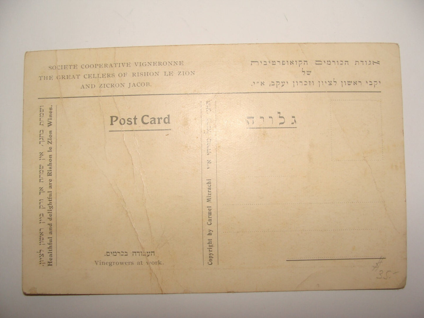 Photo Palestine Card Jewish Israel 1910s Hebrew Rishon Lezion Zichron Postcard