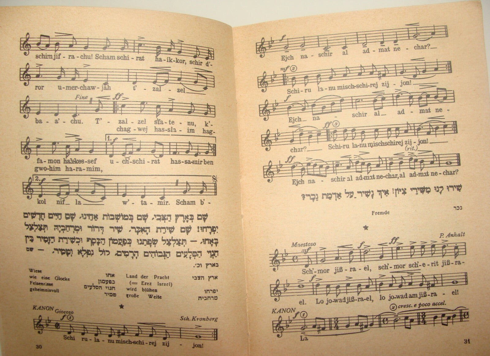 Germany Book Jewish Judaica Palestine Israel 1947 Poetry Poems Zionist Songs