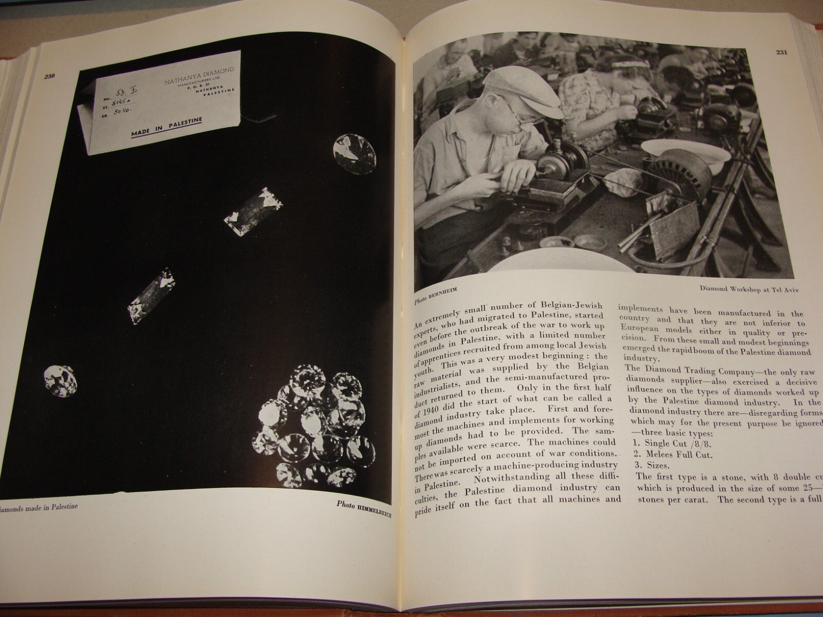 Book Jewish 1946 PALESTINE ECONOMIC FUTURE Book Israel Zionist London Zionism