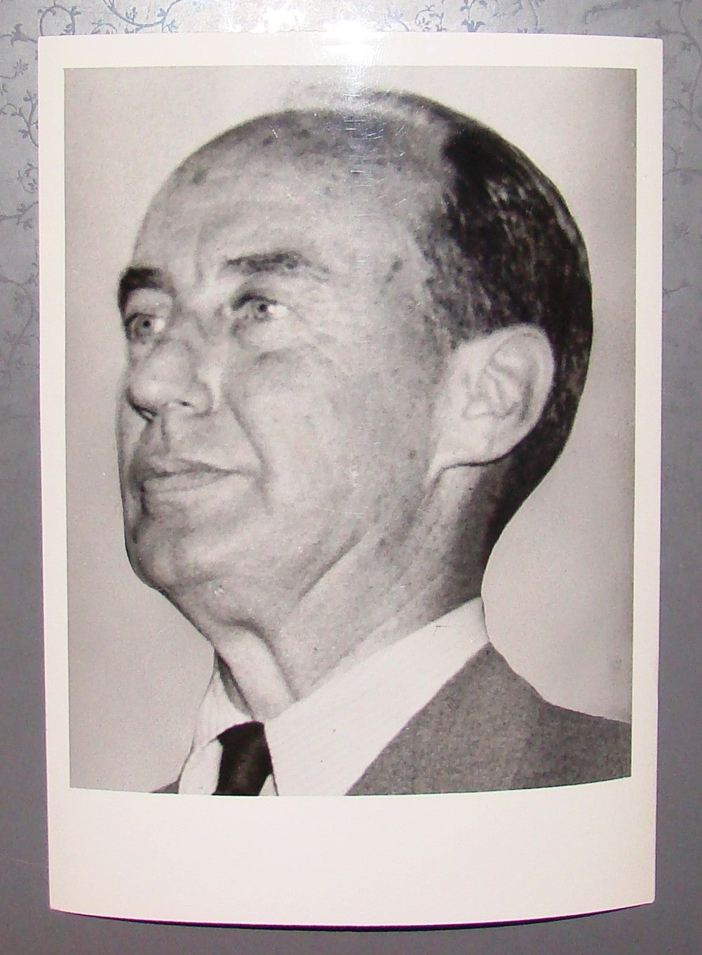 Press Photo Adlai Steveson USA Democratic Party Governor Kennedy Candidate