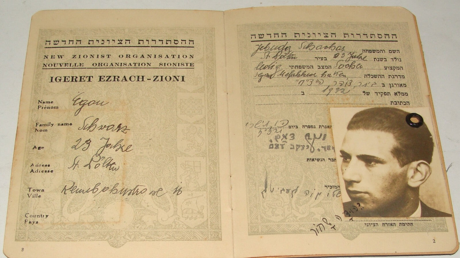 Pol Jewish Judaica 1936 Betar Beitar Revisionist Zionist Certificate Member