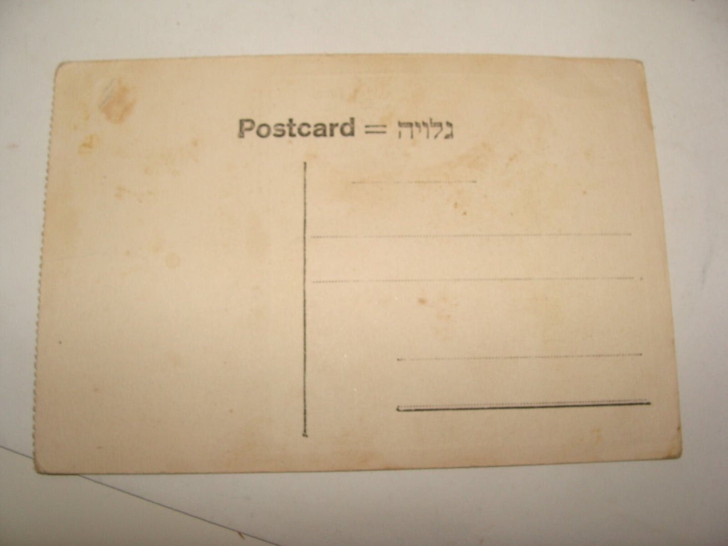 Photo Palestine Jewish Judaica Israel 1920s Postard Hebrew REHOVOTH