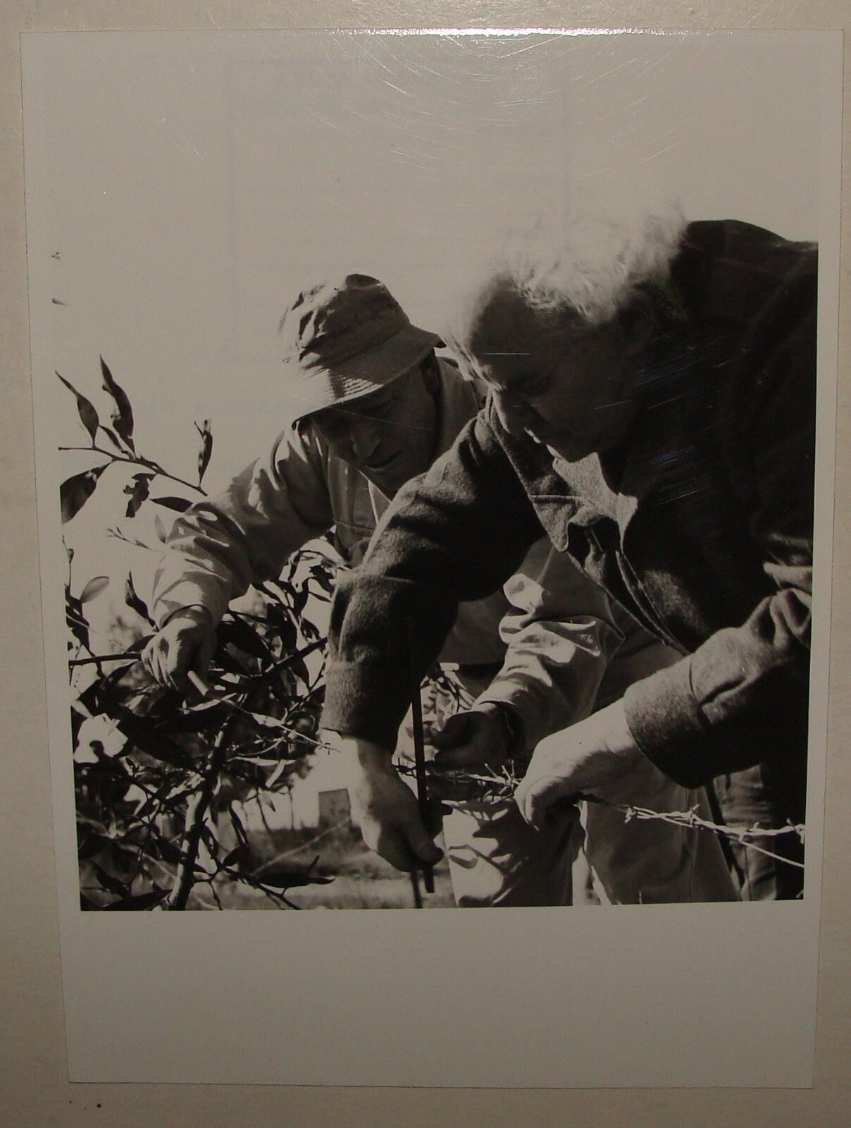 Pol Photo Jewish Judaica 1950s Israel Israeli Prime Minister David Ben Gurion