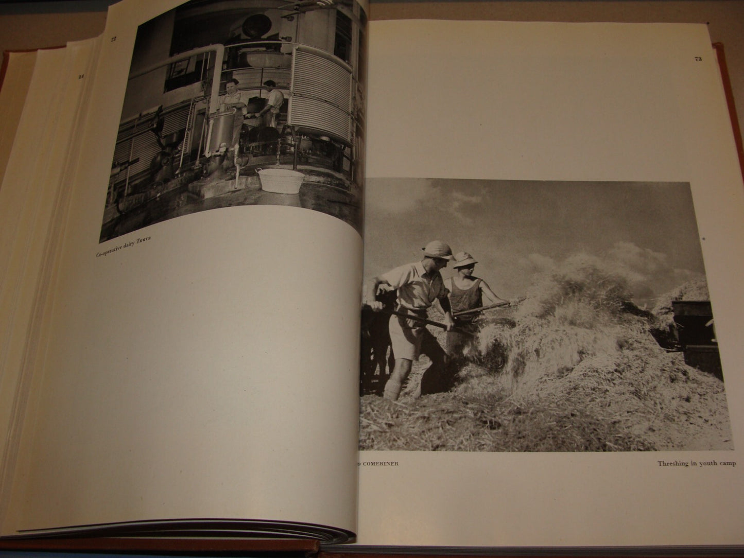 Book Jewish 1946 PALESTINE ECONOMIC FUTURE Book Israel Zionist London Zionism