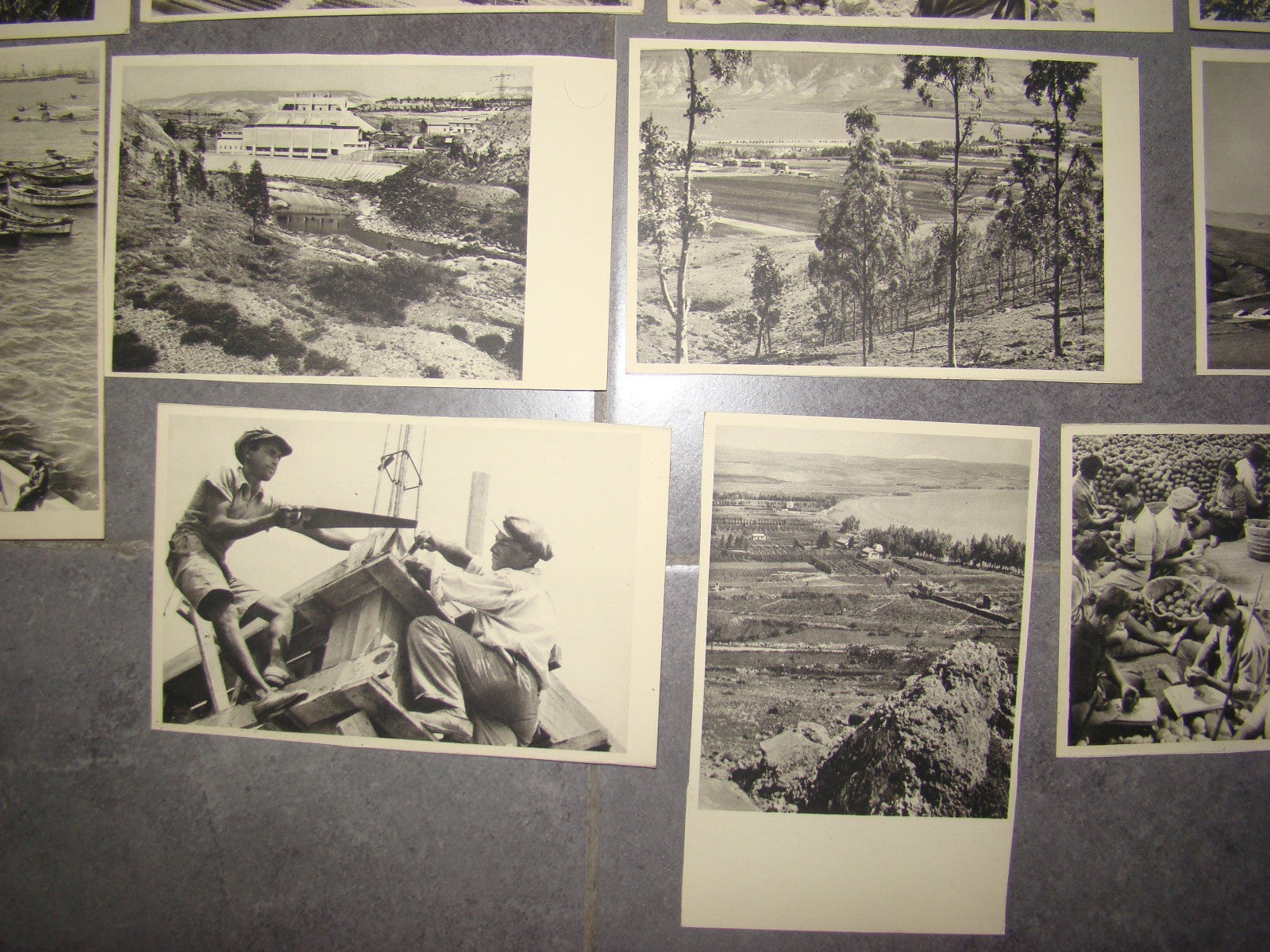 Photo Palestine Card hebrew jewish Israel Benor Kalter 20 postcard בנאור קלטר