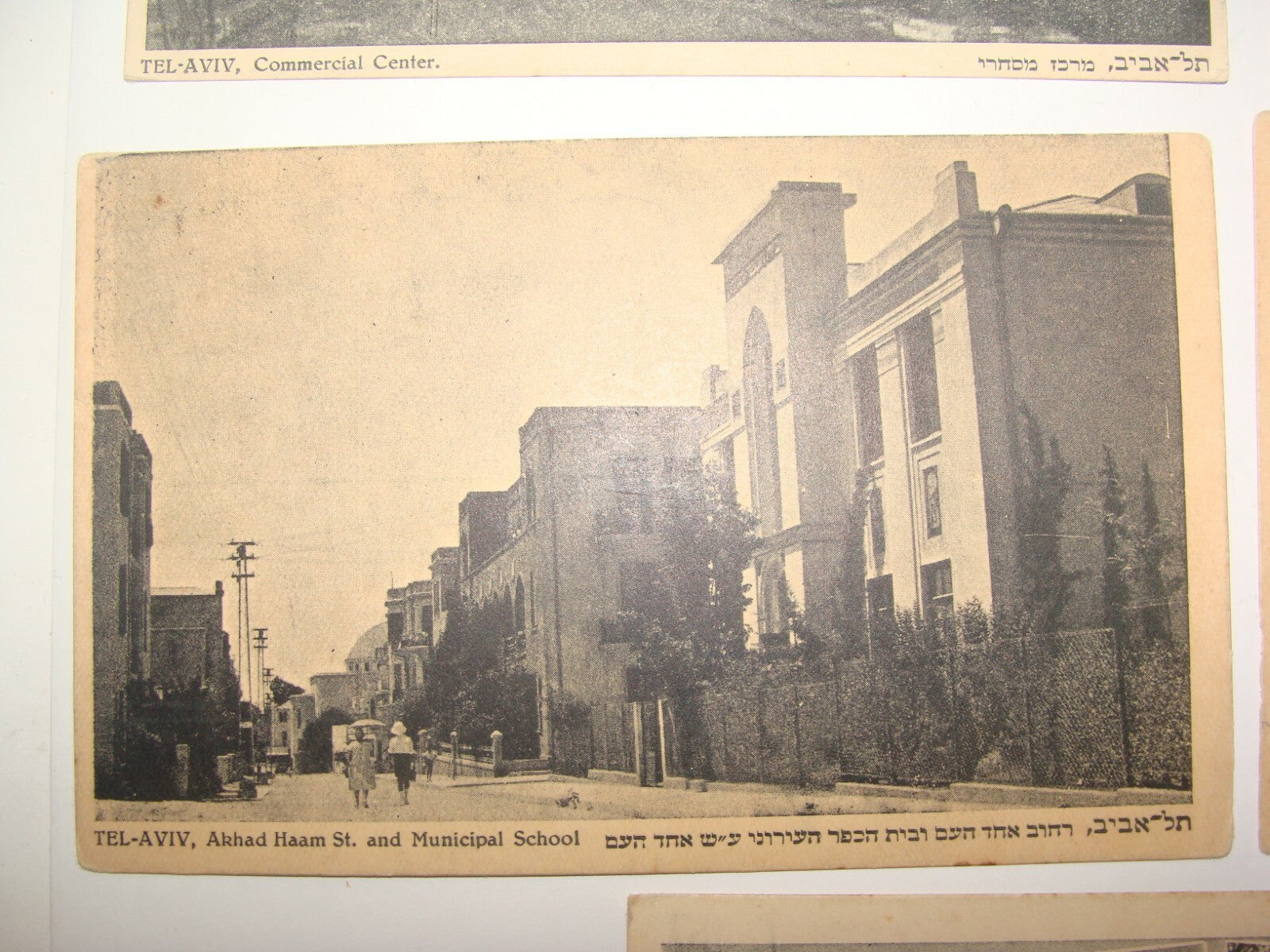 Photo Palestine Card Judaica Jewish Hebrew Israel TEL AVIV Barlevi Postcard Lot