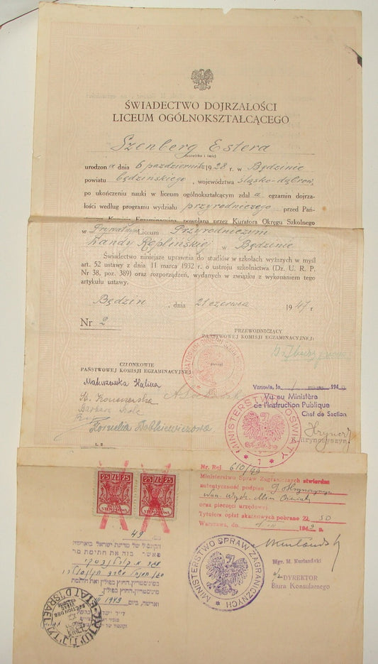 Jewish Judaica 1949 Poland Warsaw School Certificate SZENBERG Israel Consul