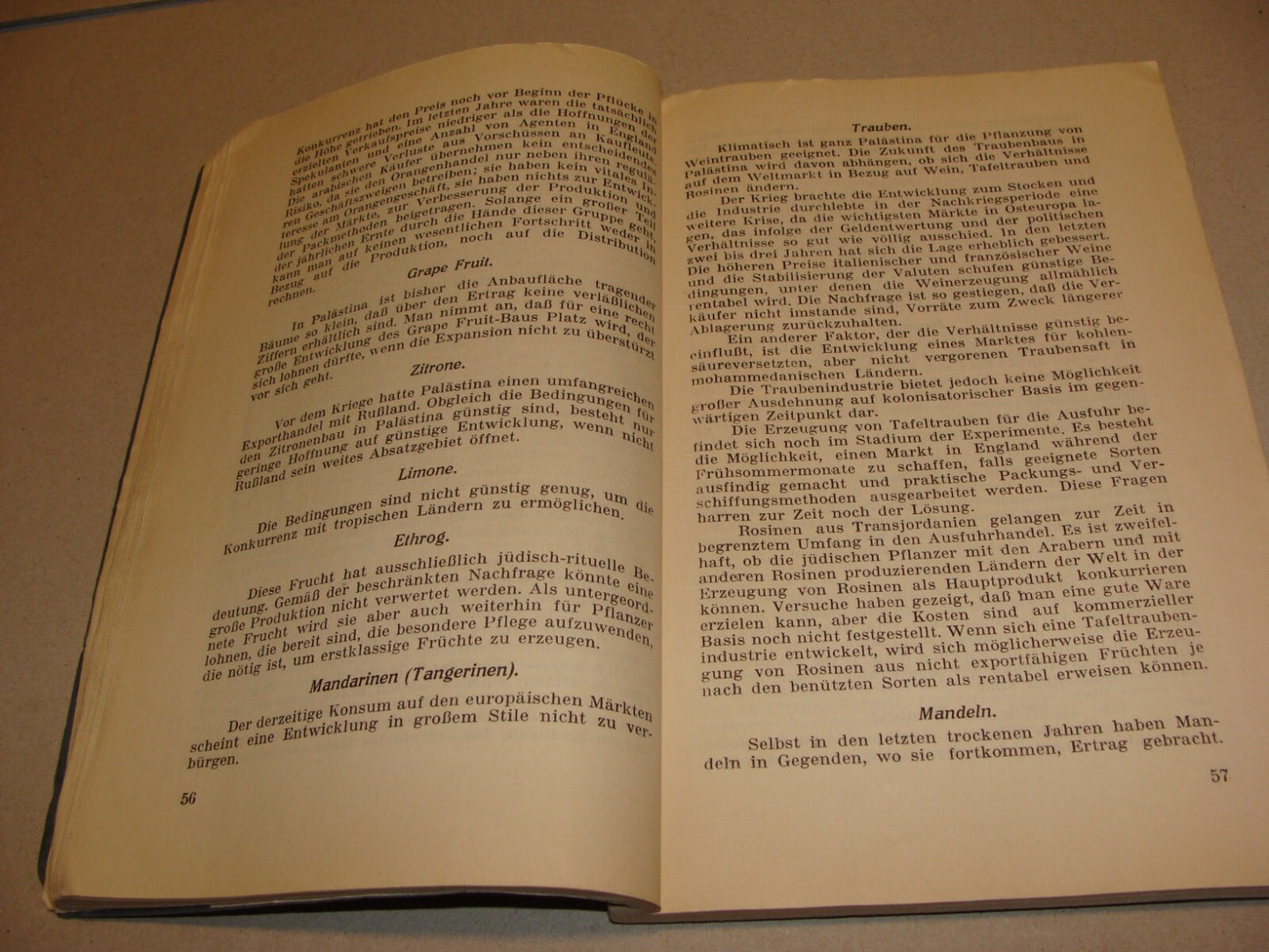 Report Palestine RARE 1928 London Joint Survey Commission German Jewish Zionist