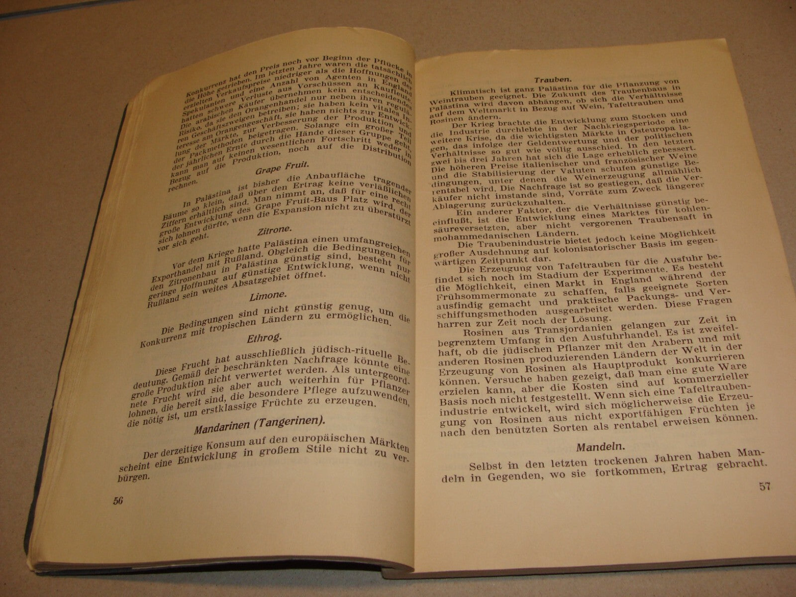 Report Palestine RARE 1928 London Joint Survey Commission German Jewish Zionist