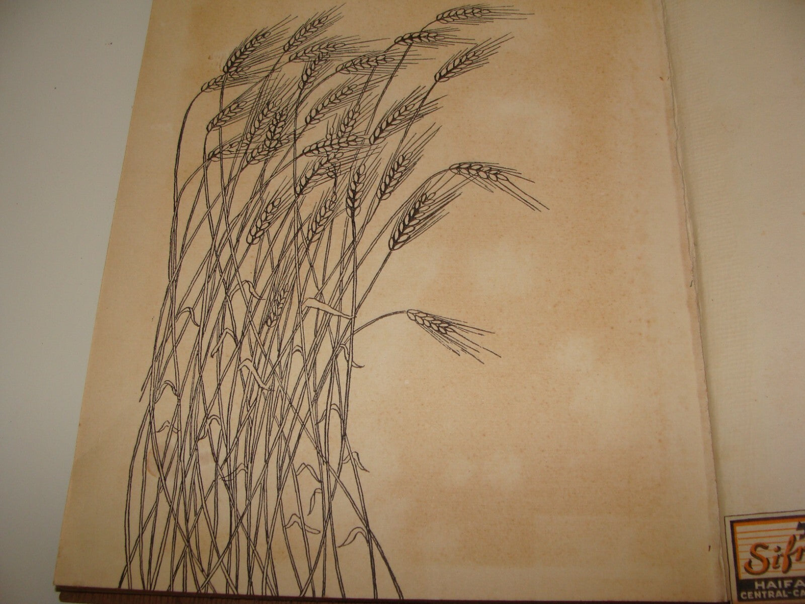 Book Jewish Judaica 1949 Israel Israeli Hebrew Ruth Scroll Art Drawings