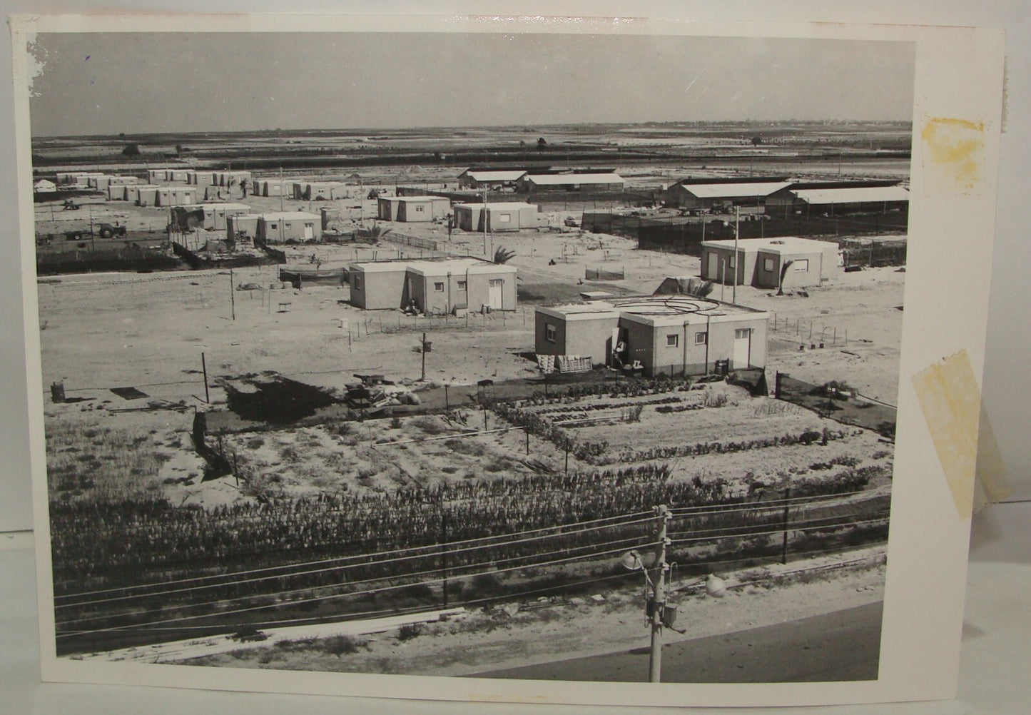 Photo Jewish Ad 1972 Israel Israeli Settlement Moshav Sadot Yamit Sinai Rafiah