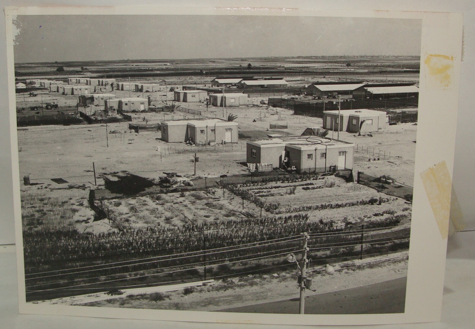 Photo Jewish Ad 1972 Israel Israeli Settlement Moshav Sadot Yamit Sinai Rafiah