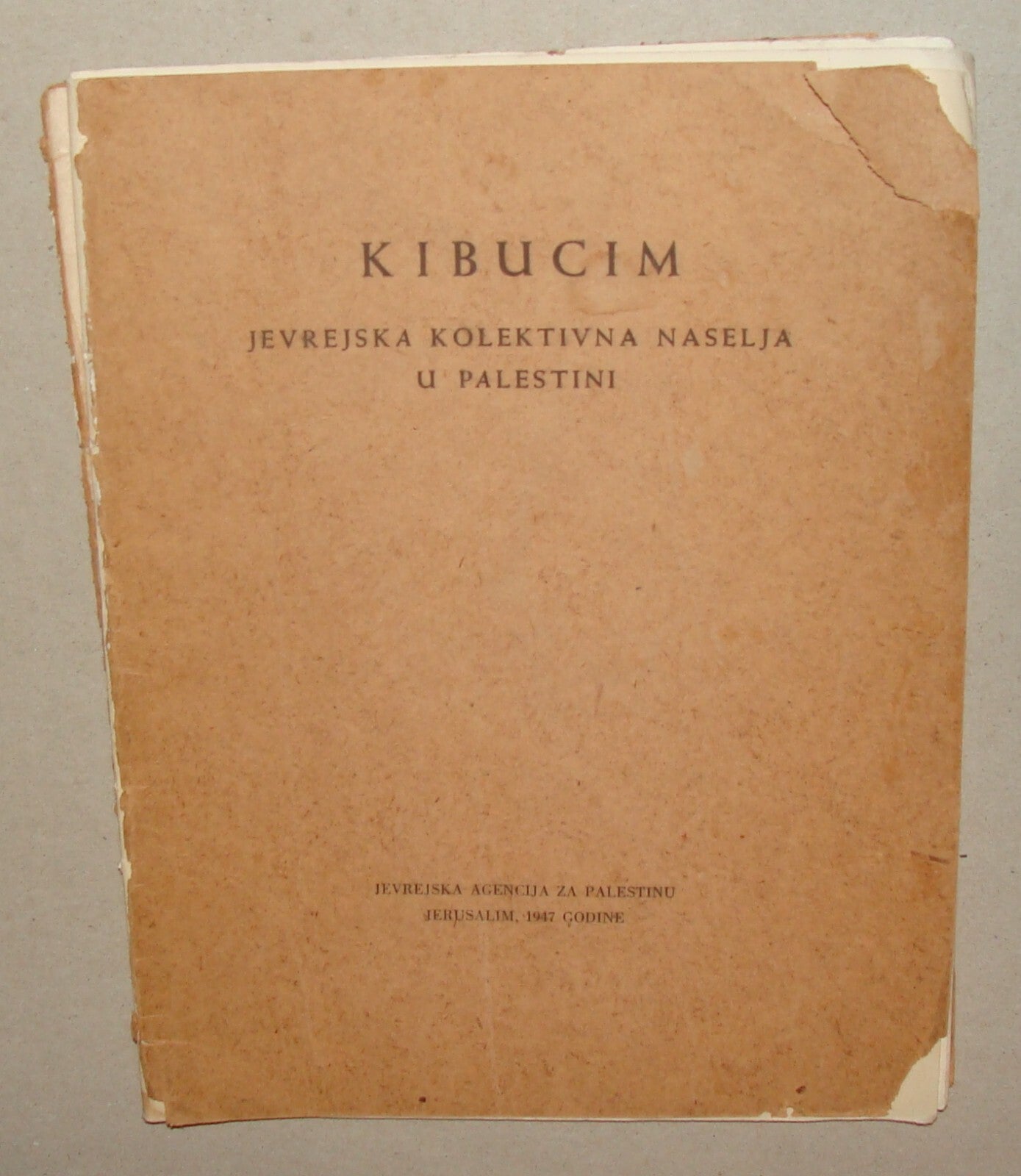 1947 Zionist Jewish Hebrew Palestine Israel Kibbutz Pamphlet Bosnian Photo Map