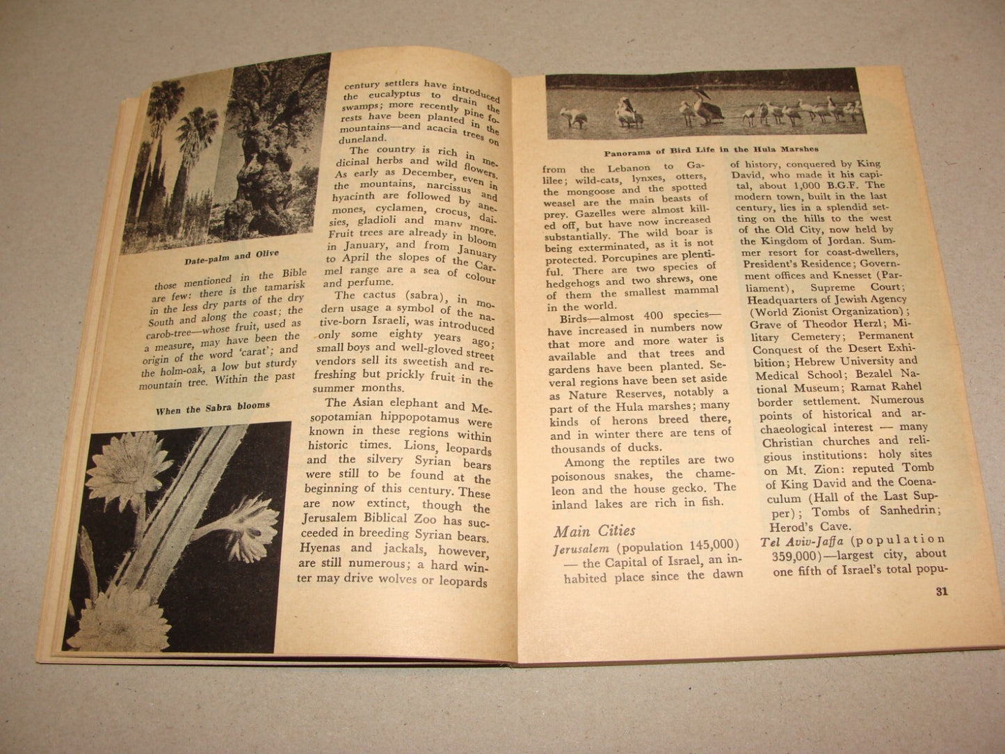 Jewish Judaica 1957 Israel Israeli Facts Guide Information Book History Map