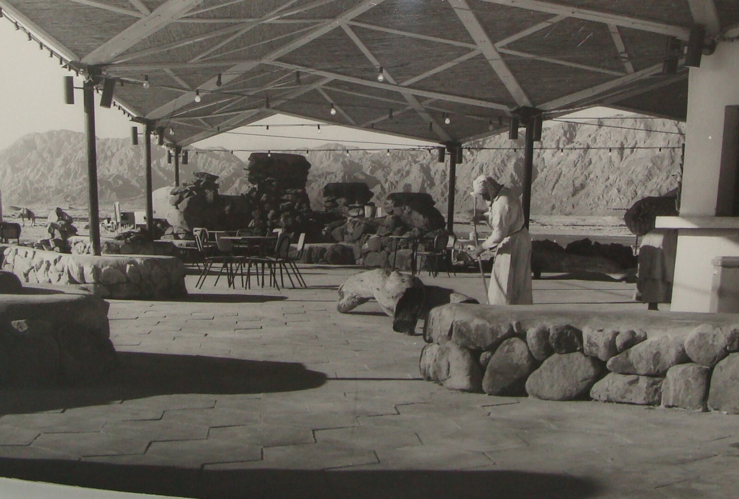 Photo Print, 1973 Israel Israeli Jewish Village Moshav NEVIOT Egypt Sinai נביעות