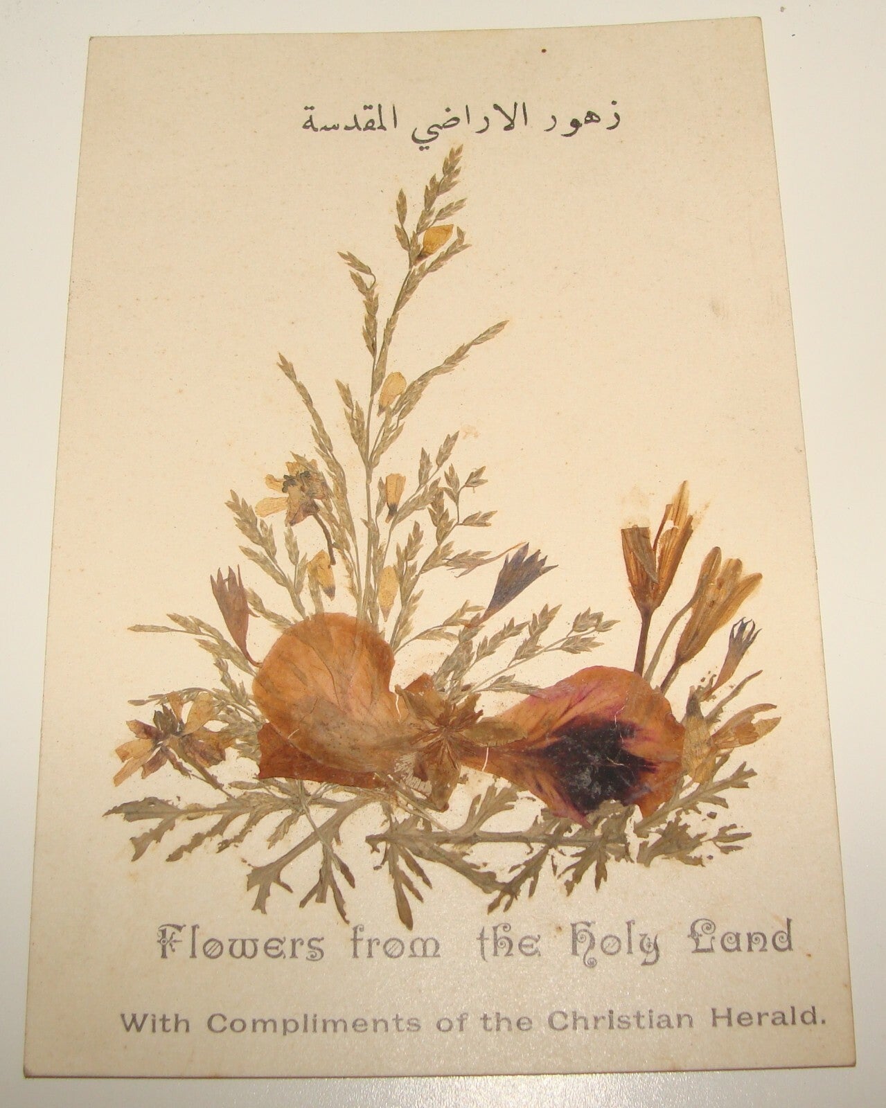 $ Card Palestine 1900s Ottoman Holy Land Flowers Souvenir