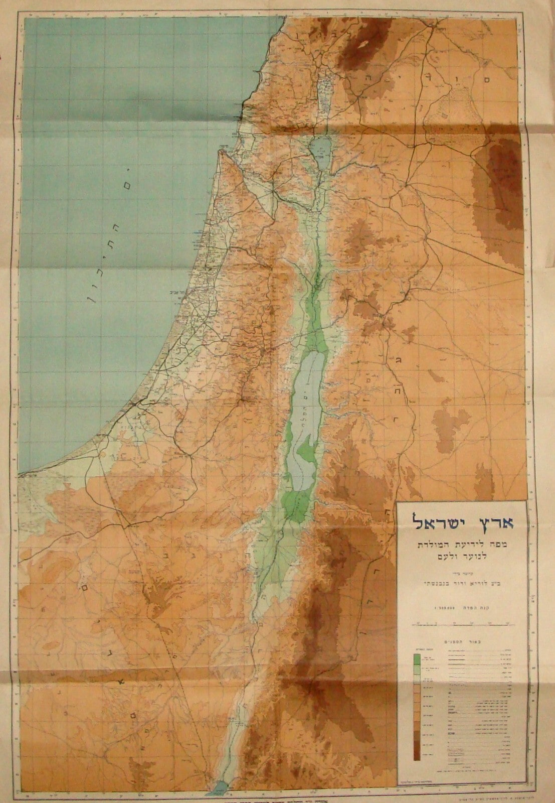 Jewish Judaica 1940s Palestine ISRAEL LARGE MAP 1:500.00 66X98 CM