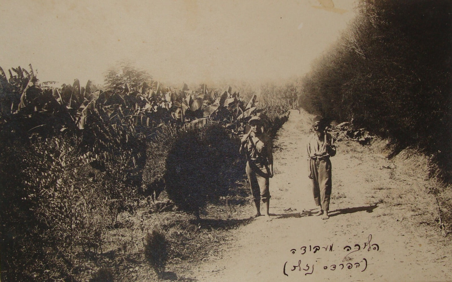 Photo Palestine Judaica Jewish Israel Zionist 1920s Zichron Yaakov Hebrew X4 LOT