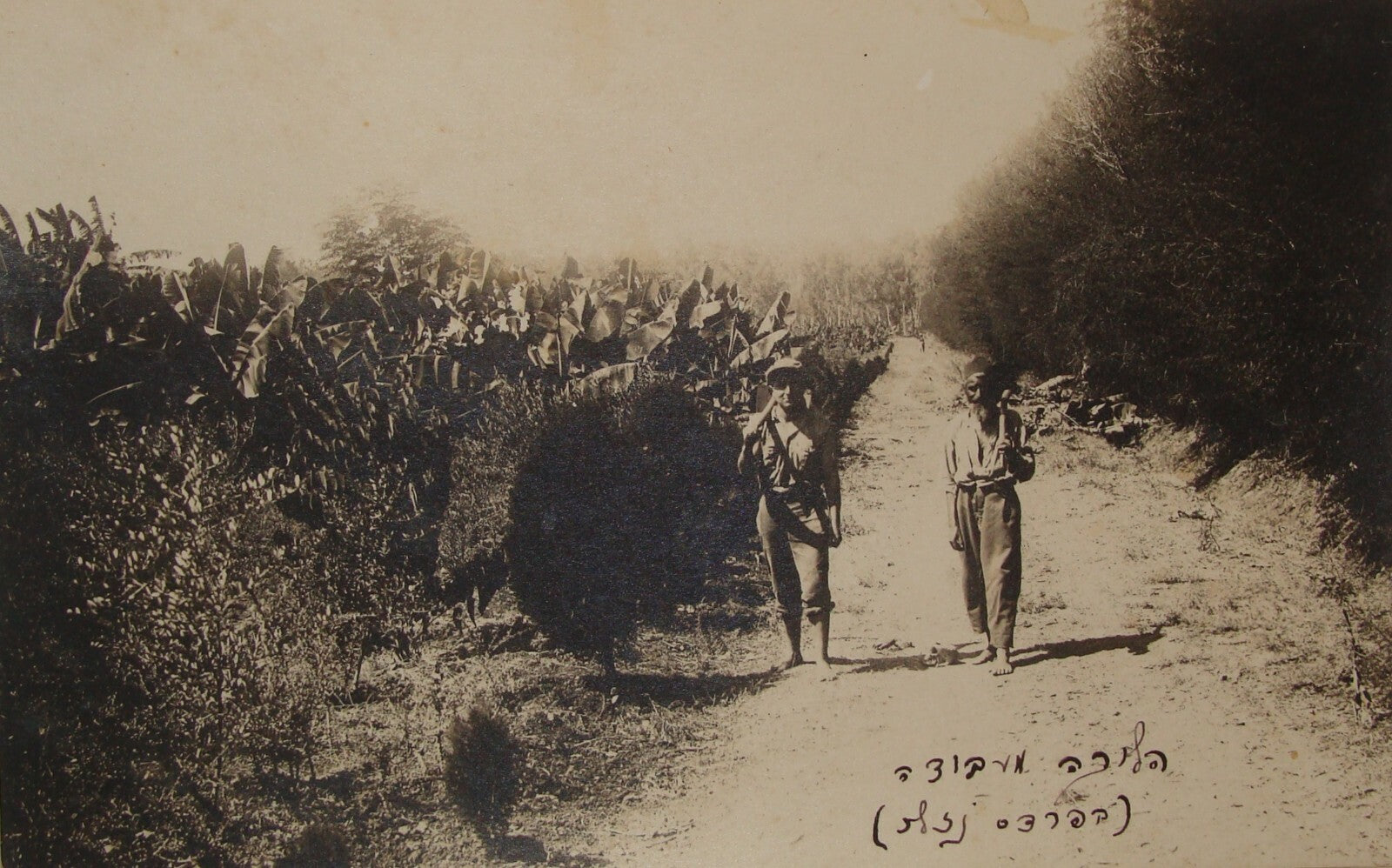 Photo Palestine Judaica Jewish Israel Zionist 1920s Zichron Yaakov Hebrew X4 LOT