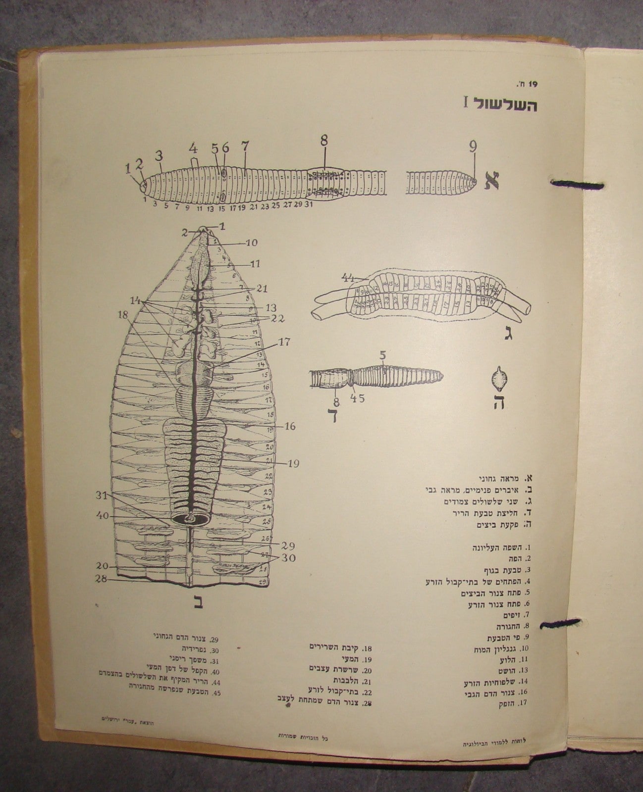 Book Jewish hebrew palestine eretz israel Biology Atlas by Ever Science Zvi Lev