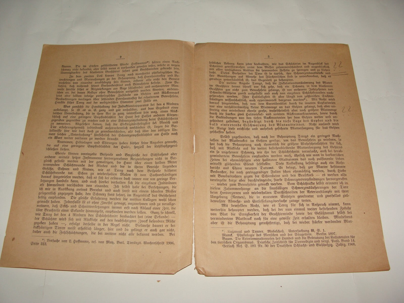 Germany Paper Jewish Judaica Antique 1910s German   Jews Slaughter Kosher Ritual