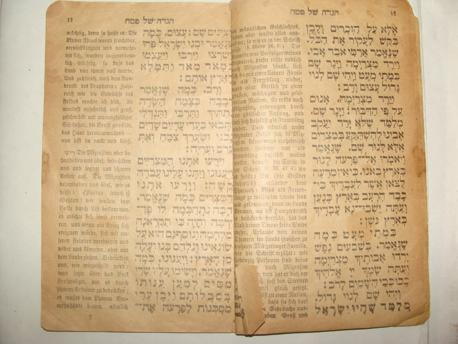 Jewish Judaica 1917 Passover Pesach Haggadah Wien Vienna German Budapest