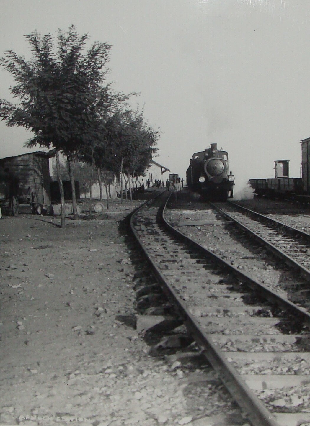 Photo Print, Ottoman Palestine Israel Afula Railway Train Station MATSON 1900s