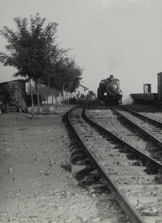 Photo Print, Ottoman Palestine Israel Afula Railway Train Station MATSON 1900s