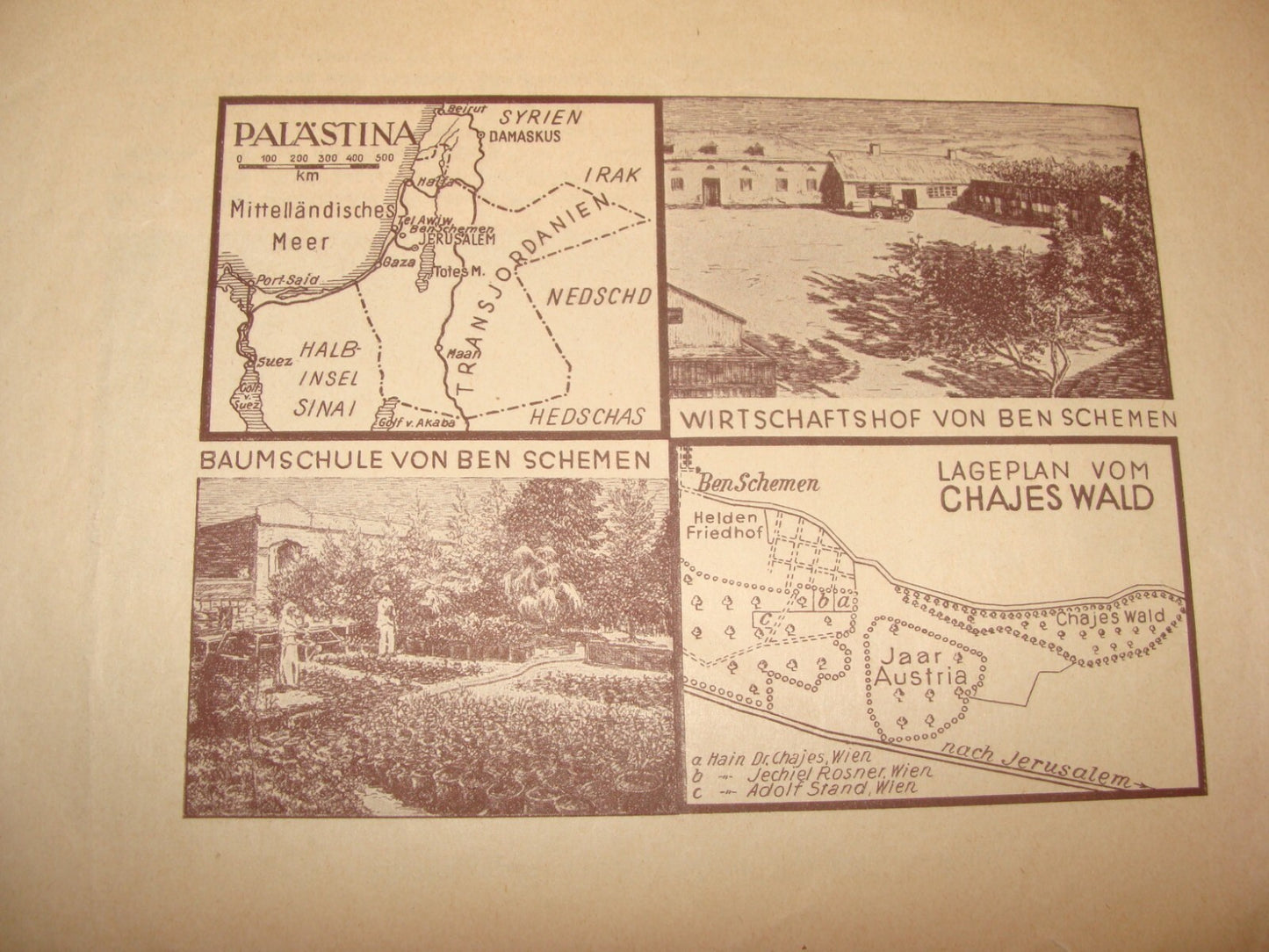 National Fund Palestine Judaica Jewish 1933 Israel Zionist German Austria Wien