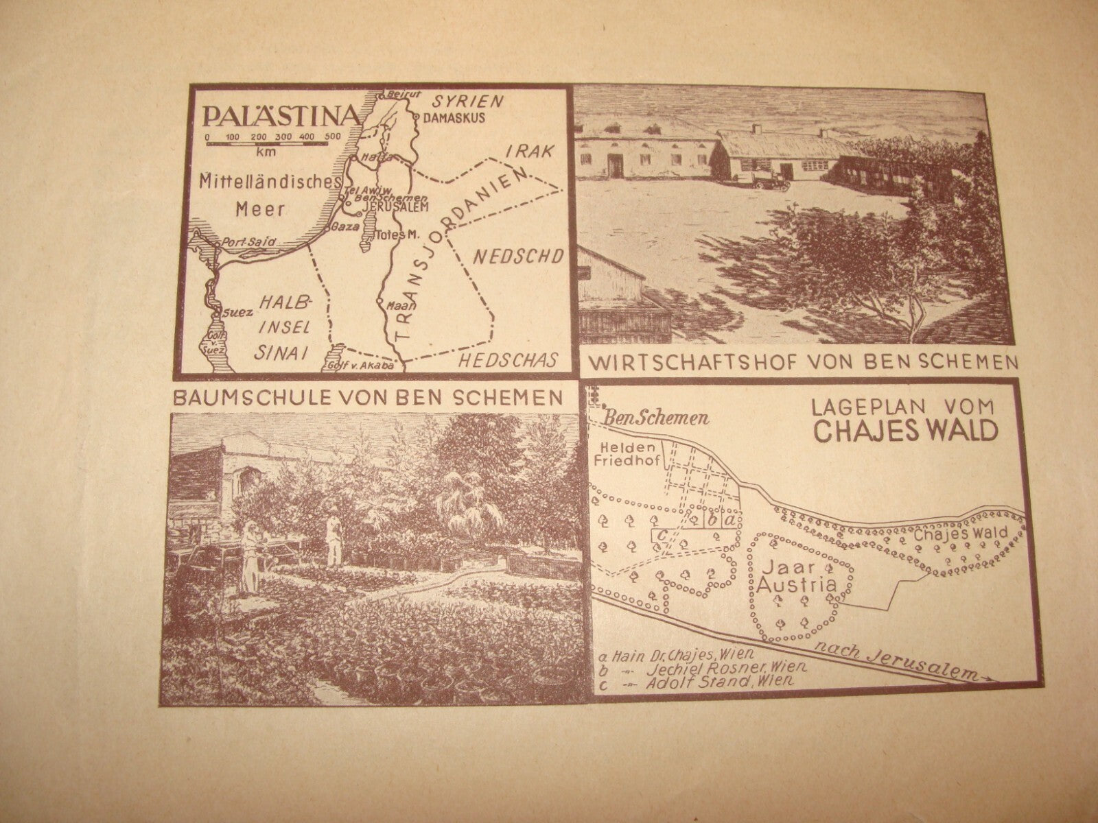 National Fund Palestine Judaica Jewish 1933 Israel Zionist German Austria Wien