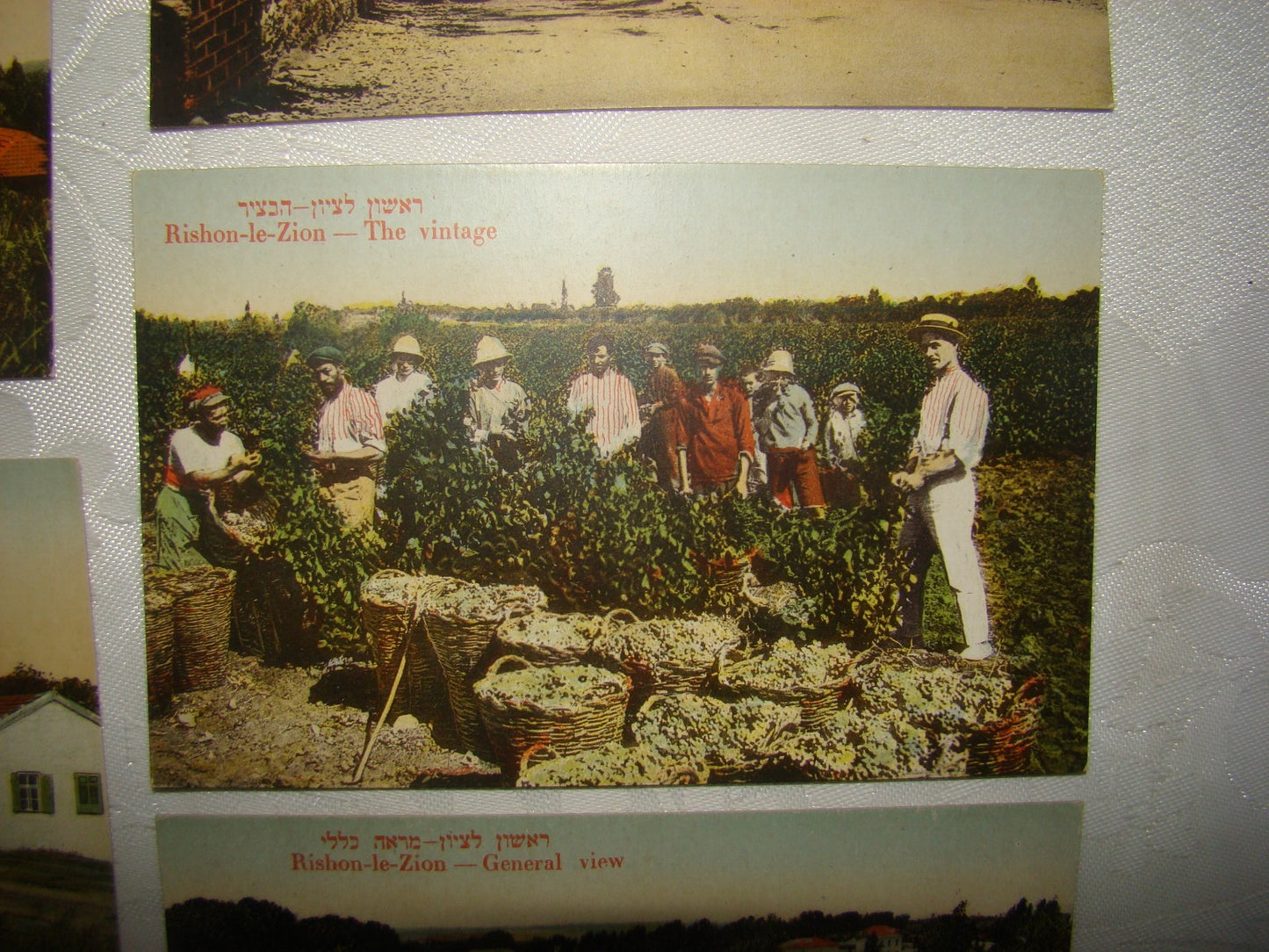 Photo Palestine Card hebrew jewish Israel Moshe Ordmann postcard Rishon LeZion