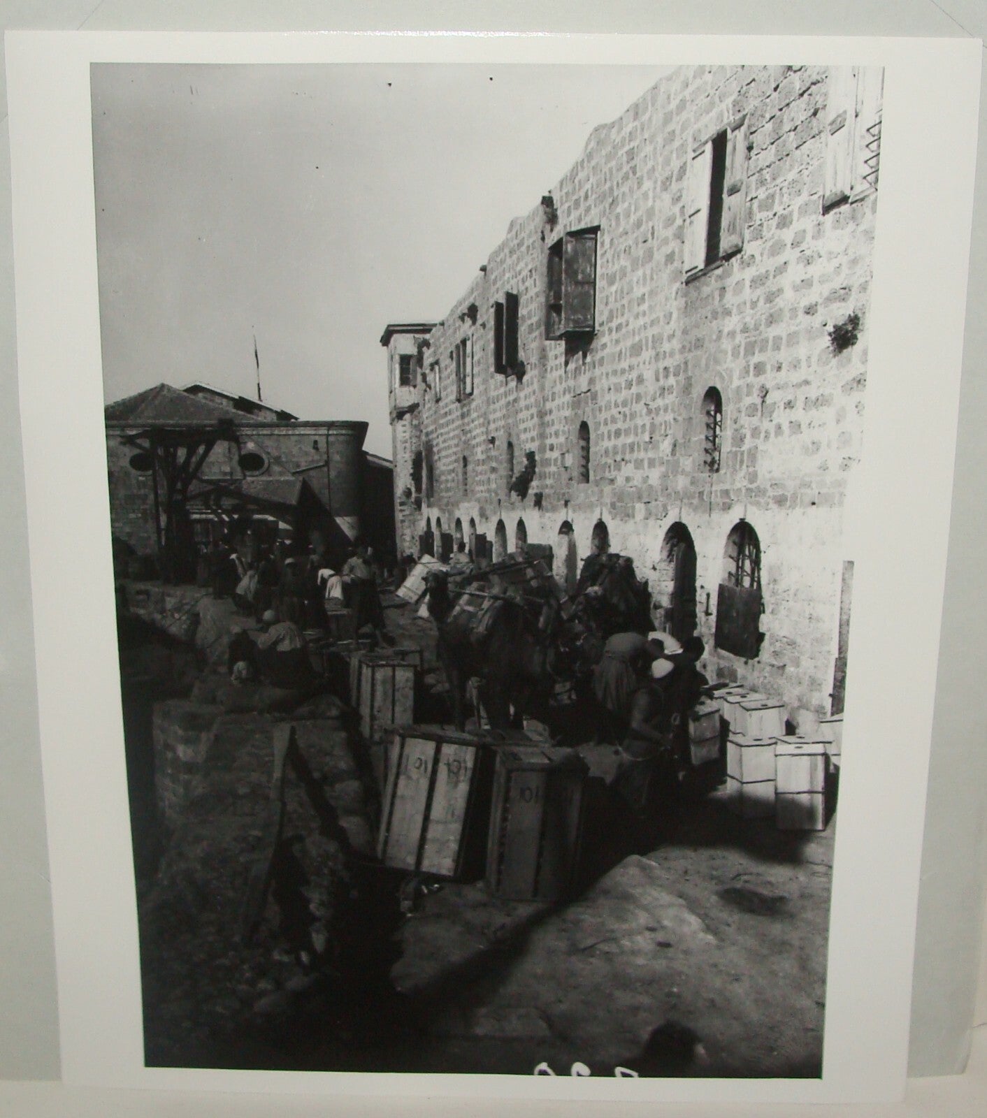 Photo Print, Pre 1918 Palestine Israel Jaffa Wharf Oranges