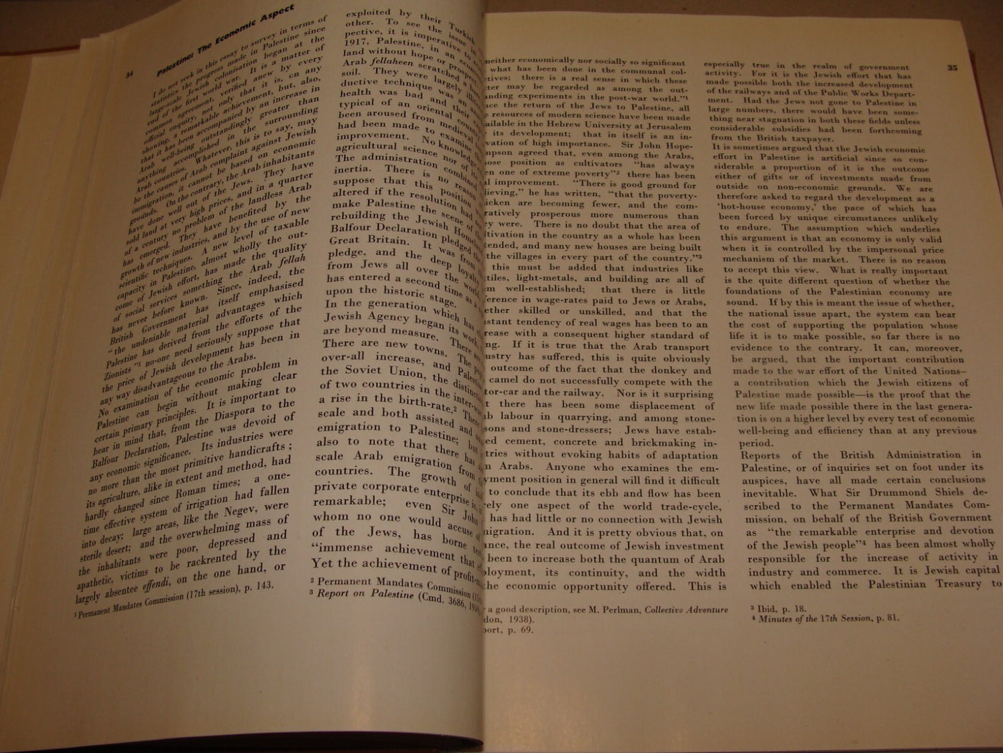 Book Jewish 1946 PALESTINE ECONOMIC FUTURE Book Israel Zionist London Zionism