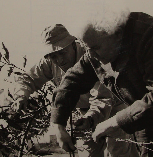 Pol Photo Jewish Judaica 1950s Israel Israeli Prime Minister David Ben Gurion