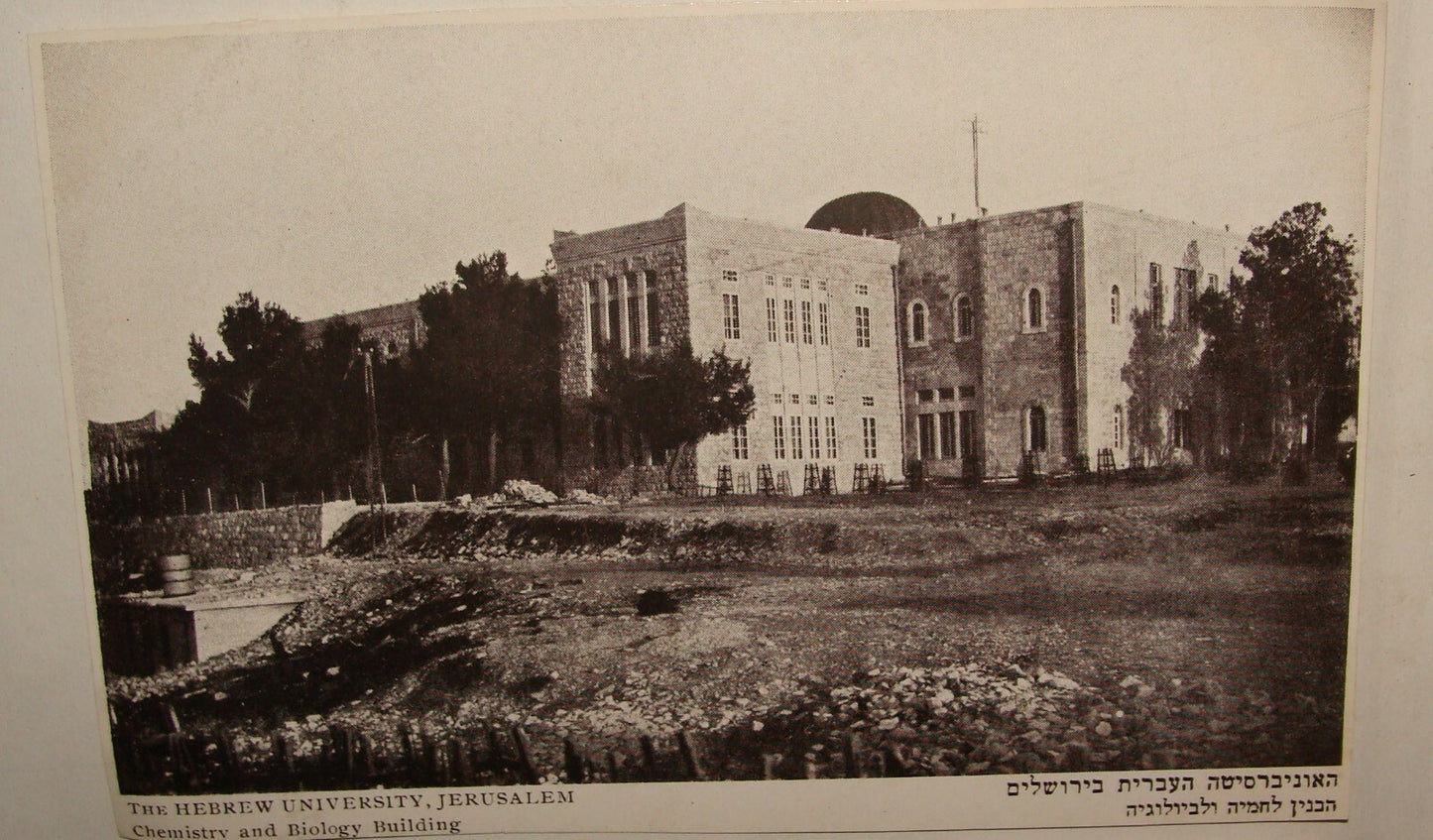 Photo Palestine Card Jewish Judaica Israel Hebrew University Jerusalem Postcard