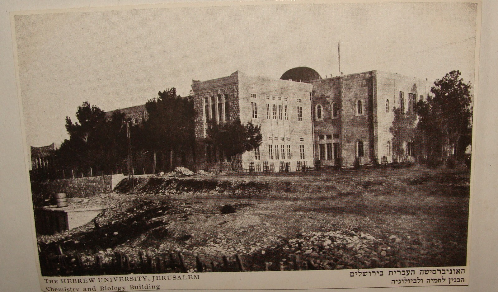 Photo Palestine Card Jewish Judaica Israel Hebrew University Jerusalem Postcard