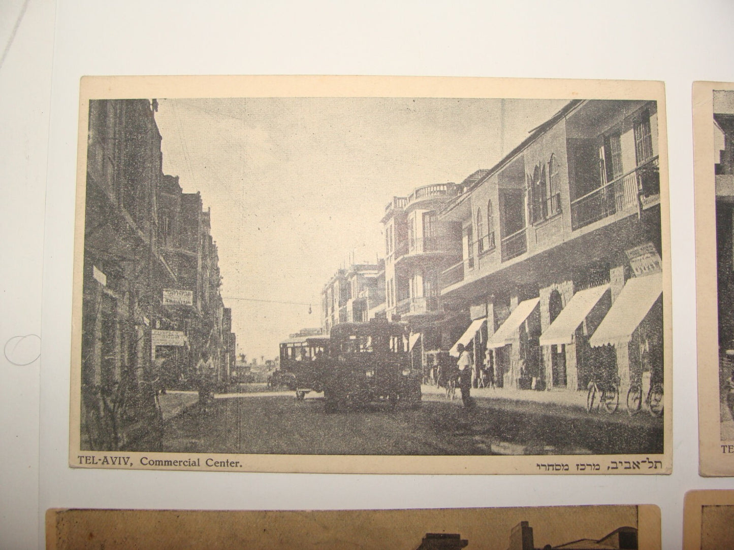 Photo Palestine Card Judaica Jewish Hebrew Israel TEL AVIV Barlevi Postcard Lot