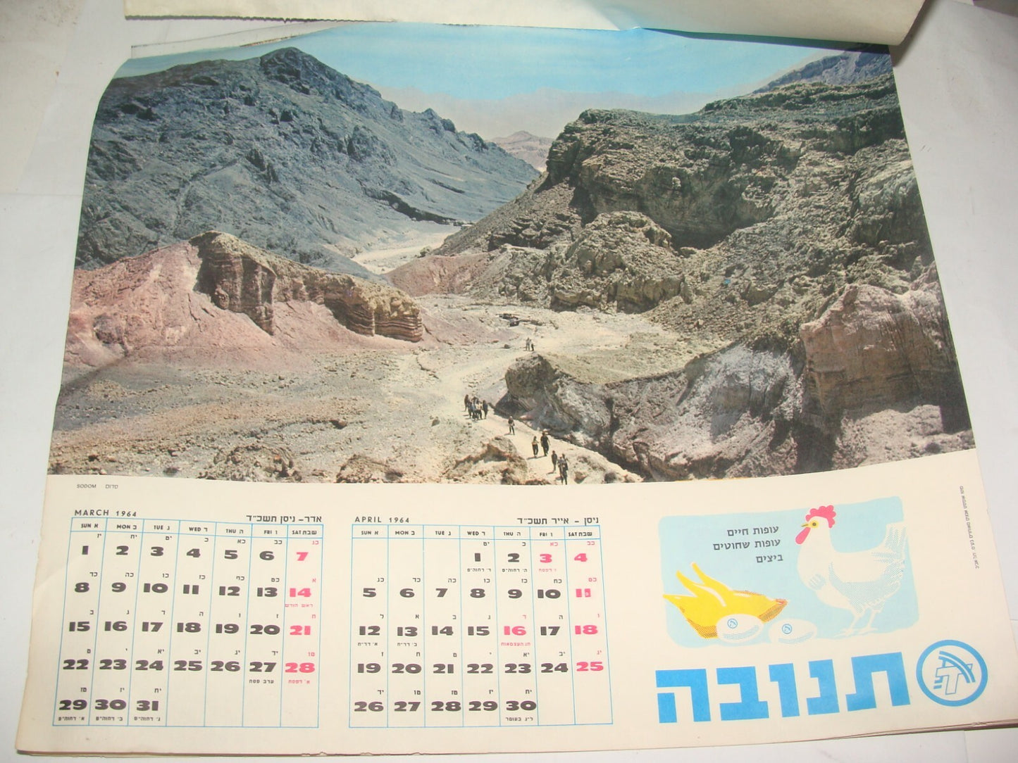 Jewish Israel Israeli Vintage 1964 Hebrew Food Company Dairy TNUVA Calendar