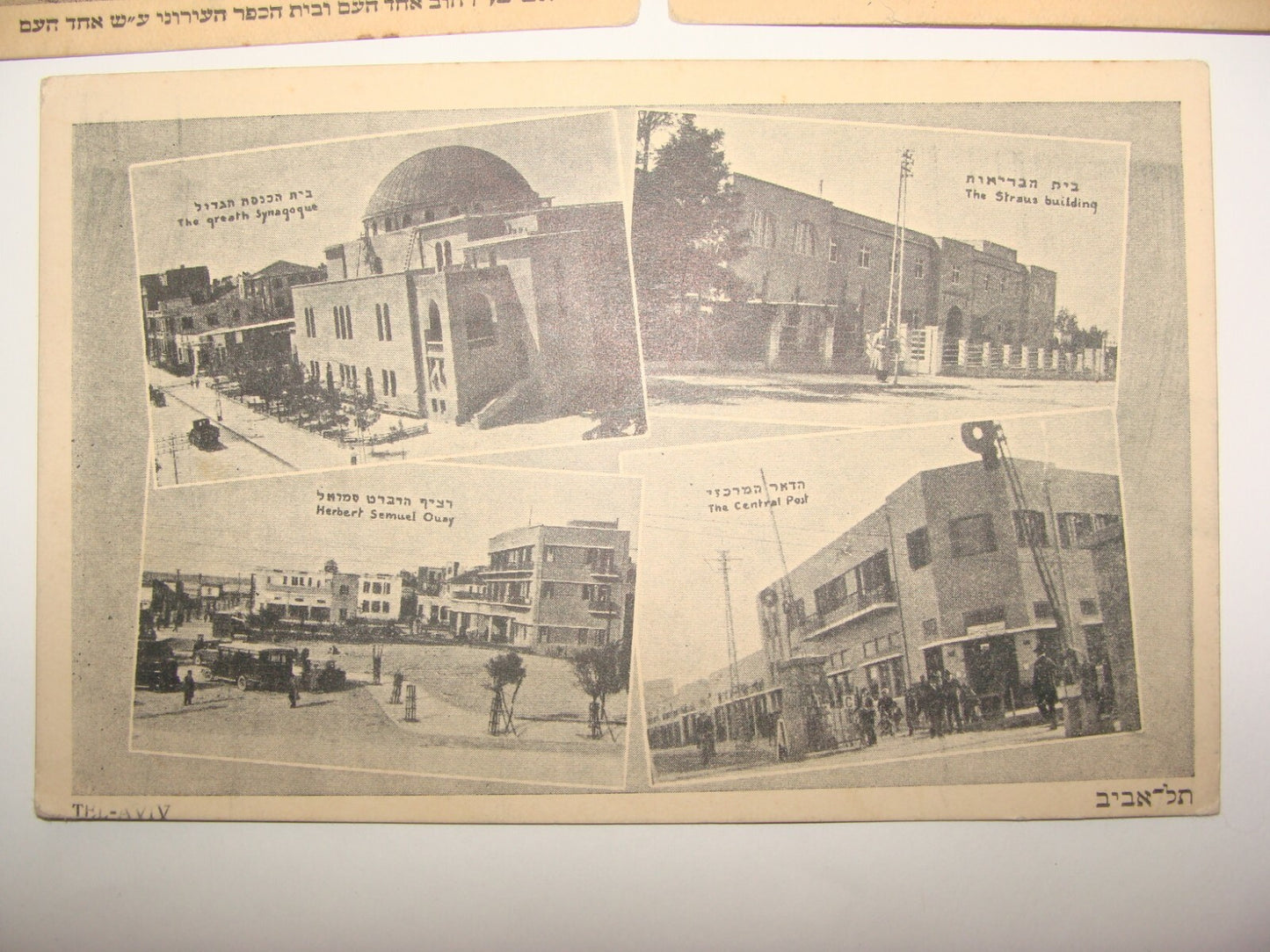 Photo Palestine Card Judaica Jewish Hebrew Israel TEL AVIV Barlevi Postcard Lot