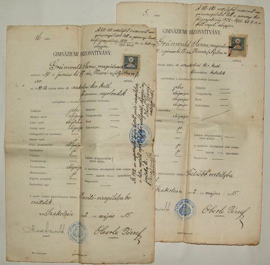 Stamp Jewish 1910s Hungary High School Certificate Diploma x2 Judaica ?