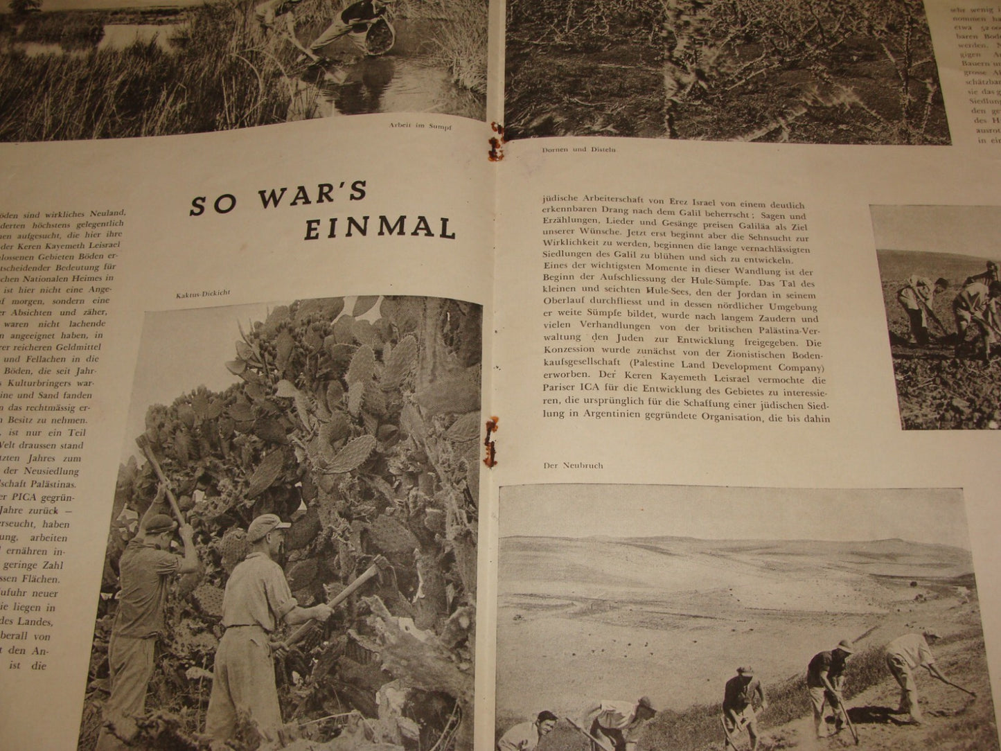 Booklet Palestine Jewish Judaica 1937 Israel German Photo Album Zionist RARE