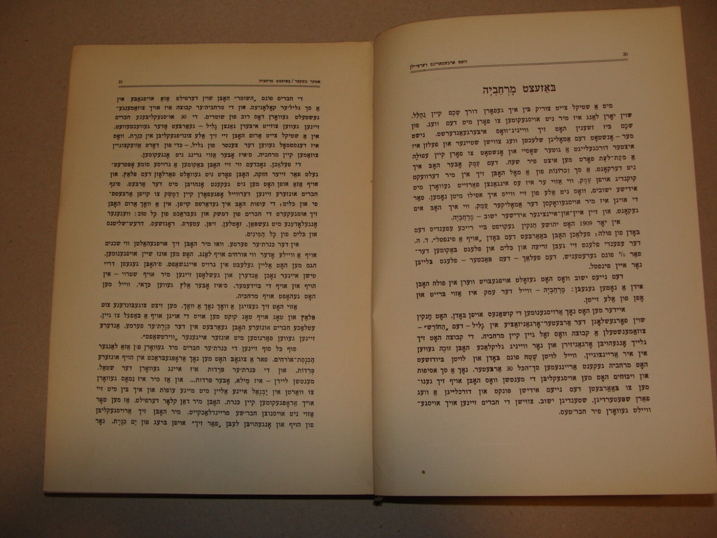 Book Jewish Judaica 1931 Palestine Israel Yiddish Zionist Women Rachel Ben Zvi